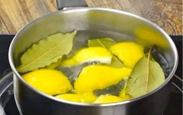 3 feuilles de laurier et citron pour une tisane à effet immédiat.