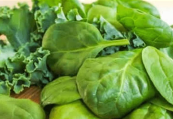 5 aliments riches en calcium pour remplacer le lait