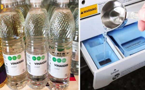 5 explications pour ajouter du vinaigre dans votre machine à laver
