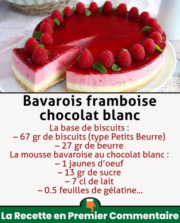 Bavarois framboise chocolat blanc
