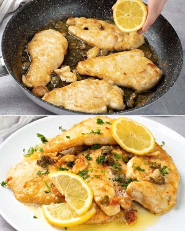 Casserole de Poulet Crémeux Ail et Citron