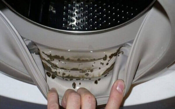 Comment Eliminer Les Moisissures Votre Lave-linge
