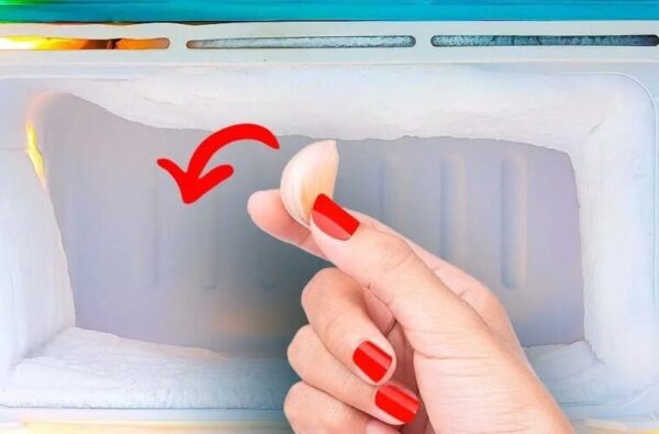 Comment conserver l’ail pour qu’il reste frais plus longtemps ?