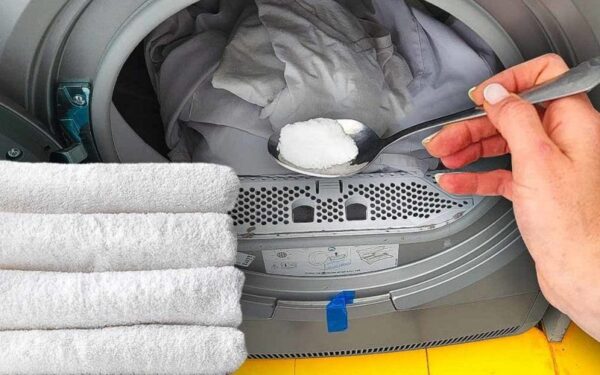 Comment laver vos serviettes pour qu’elles restent douces et moelleuses ?