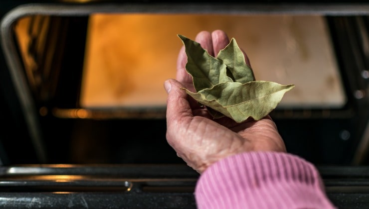 Parfumer la cuisine au laurier