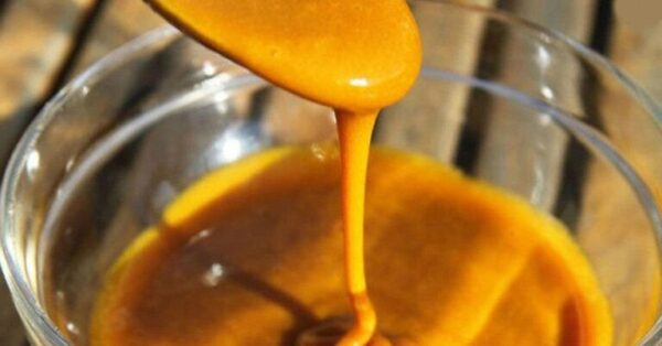 Curcuma et miel l’antibiotique le plus puissant que même les médecins ne peuvent expliquer