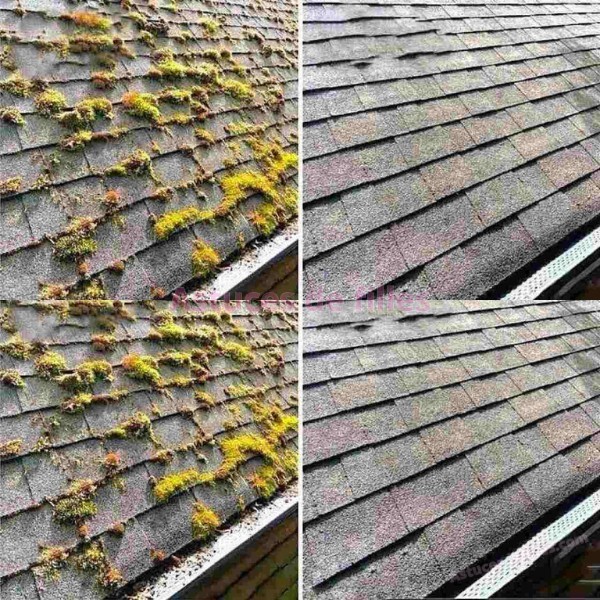 De la mousse sur le toit de la maison, cet ingrédient suffira à s’en débarrasser immédiatement