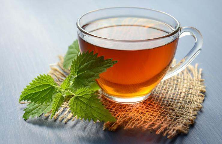 propriétés de l'eau et de la menthe