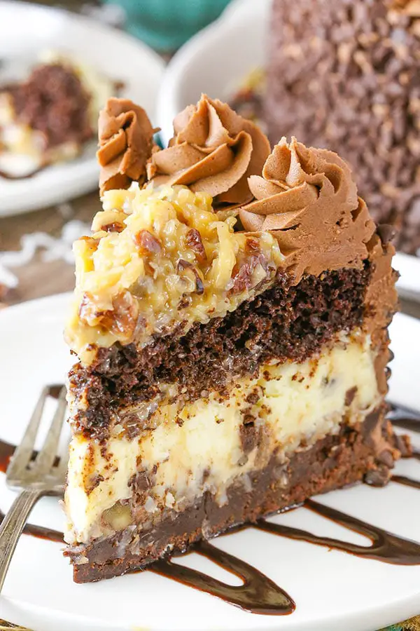 Gâteau au Fromage au Chocolat et à la Noix de Coco Époustouflant