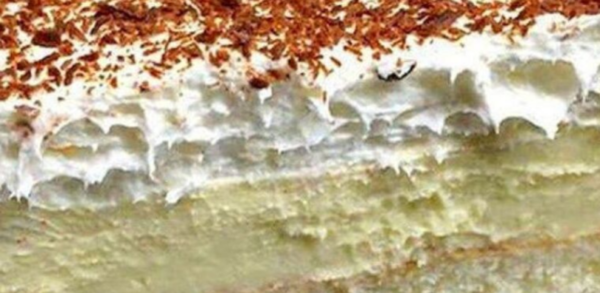 Gâteau à la crème à la vanille sans cuisson