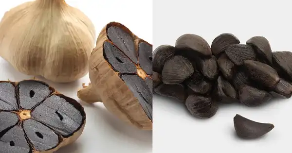 La magie de l’ail noir : ses bienfaits surprenants pour la santé et comment le préparer