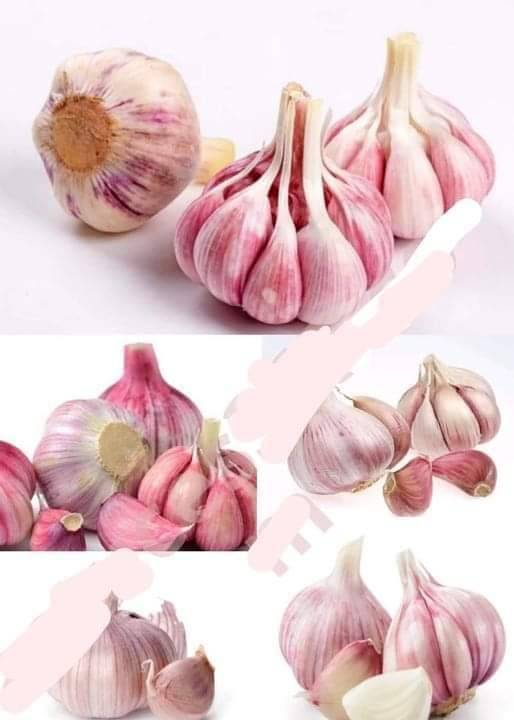 L’ail: 14 secrets que vous ne connaissez pas encore