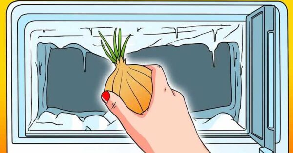 Laissez un oignon au congélateur avant d’aller dormir – désormais tout le monde le fait !