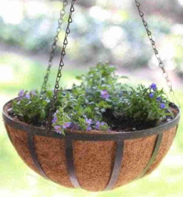 Le pouvoir des couches : un truc étonnamment efficace pour garder vos plantes en bonne santé