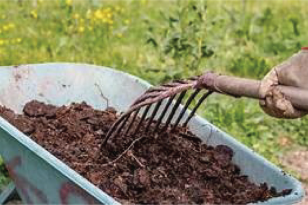 Les meilleurs fumiers pour le potager