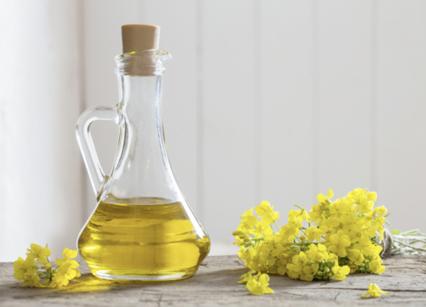 L’huile de colza : Bienfaits, Utilisations et Durabilité