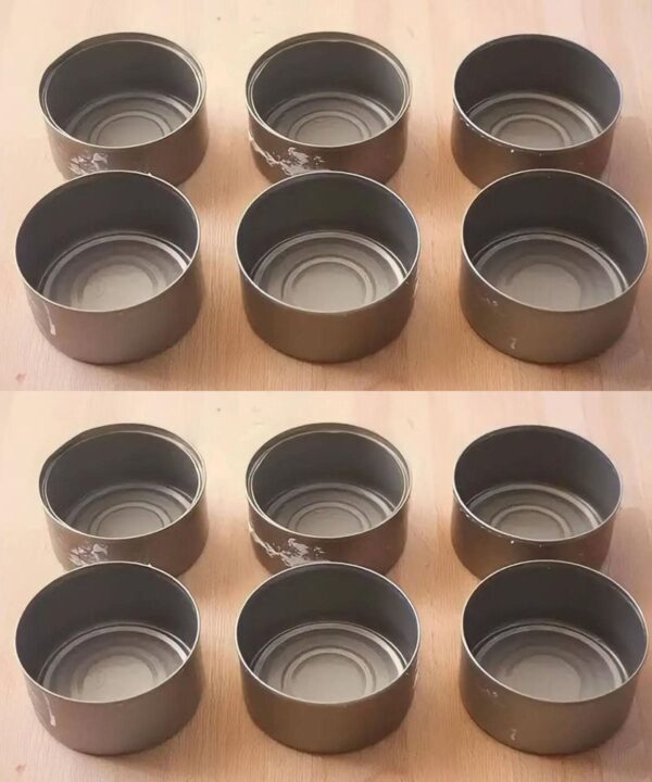 Ne jetez plus les boîtes de thon, elles valent de l’or à la maison : comment les réutiliser