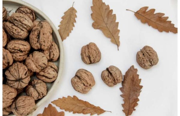 Ne jetez plus les coquilles de noix : vous pouvez les réutiliser de manière ingénieuse !