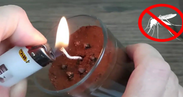 Répulsif maison pour éloigner les moustiques, les mouches et les moucherons