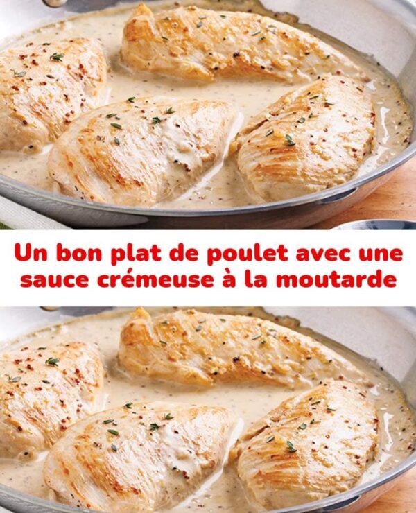 Un bon plat de poulet avec une sauce crémeuse à la moutarde