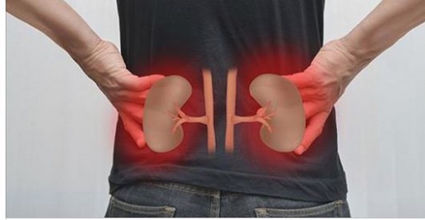 Voici les 6 Aliments qui Nettoient vos Reins