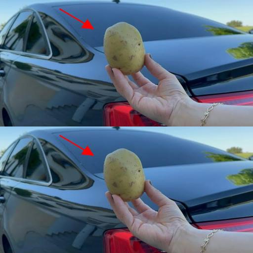 Astuce incroyable: garder seulement 1 pomme de terre dans votre voiture pourrait être un sauveur de vie – Voici pourquoi vous devez savoir!