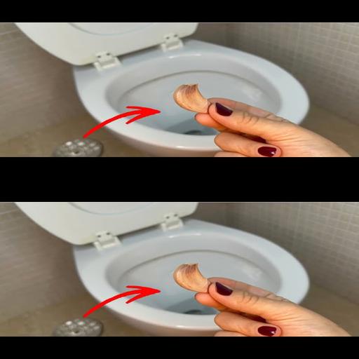 L’ail dans les toilettes: Pourquoi vous devriez faire ça chaque nuit!